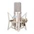 Микрофон студийный конденсаторный Alctron CM6-MKII