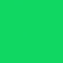 Фон бумажный FST 2.72x11 CHROMAGREEN (1010) зеленый