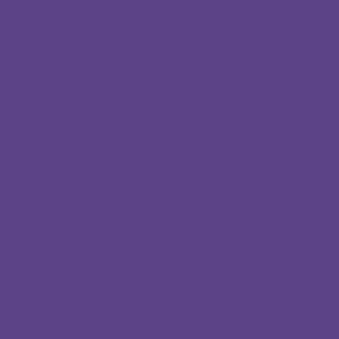 Фон бумажный FST 2.72x11 PURPLE (1002) фиолетовый