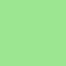 Фон бумажный FST 2.72x11 SPRING GREEN (1026) зеленый